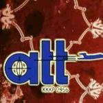 300864495_205118601854715_8168993218550893270_n