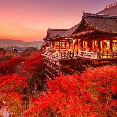 qajibouxzflyxsmnbjxo